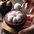 250503 치알마이한달살기 D7