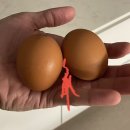 우비뇨기과의원 이미지