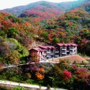 의성군농협쌀조합공동사업법인 | 의성에 가면 - 명소, 음식, 숙박, 특산물, 쇼핑, 체험
