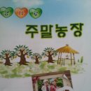 금나루