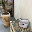 크로스메드 이미지