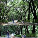 남산PC방 이미지