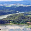 보강천 미루나무숲 이미지