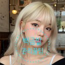 1008 | 대전 갈마역 미용실 에이티엔피 에서 알려주는 백금발 유지 꿀팁
