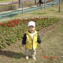 일산목장 이미지