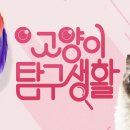 아라동물병원 이미지