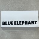 Ava | My Daily Life - 가성비 좋은 패션 안경 추천 블루엘리펀트 아바레오파드 안경 (AVA leopard)