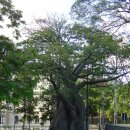 (주)생떽쥐베리 이미지