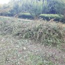 설봉농장 이미지