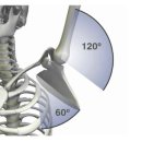 원스피티 이미지