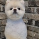 오도독뽀도독 이미지