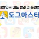 도그플러스 이미지