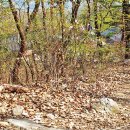 스테이 지천 이미지