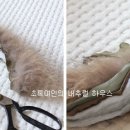 꾸밈장식