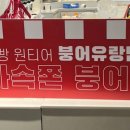 미스터붕어 이미지
