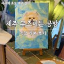 천지연로 | 제주 애견동반 공방, 반려동물 초상화 뮤즈버튼