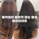 없이 붉은끼 잡는 염색, 포레스트헤어 진주평거점 애쉬브라운 후기 – 자연광에서도 차분한 분위기 완성!