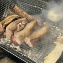 아나크 | 포항 장기면 물놀이 스노클링/빨간지붕아나크 카페