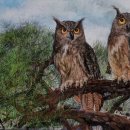 보답 행정사 이미지