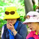 대공원입구로 이미지