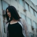 스타일펫츠 이미지