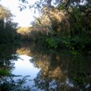 아침향기 이미지