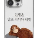 케이스몰 이미지