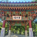 건봉사 - 1367 | 강원도 고성 건봉사 방문 후기 천년고찰 왕소나무 밑에서 힐링타임