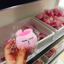 토토스토어 이미지