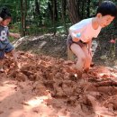 [길 뉴스] 질퍽한 황톳길, 전국 맨발 걷기 열풍 이미지