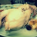 송천목장 이미지