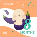한스산전