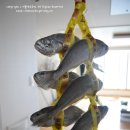 영광비닐포장