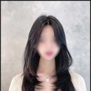 마르헤어 이미지