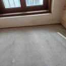 양지로·양지남로 이미지