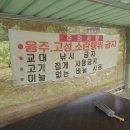 벌곡낚시터 이미지