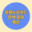 문자누리