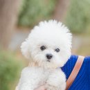 런더풀 네이버블로그