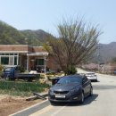 광산골식당 이미지