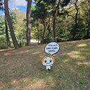 낙동강 | 추천하고 싶은 여행지 낙동강 상주 경천대 방문후기