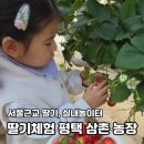 지원농장 | 서울근교 딸기체험 아이와 가기 좋은 평택 삼촌농장 실내놀이터 후기
