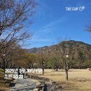 금오산(효자봉)_숲길(등산)1코스 | 구미 금오산 정상 현월봉 등산 후기(대혜폭포-도선굴-현월봉-약사암) - 봄철 벚꽃 산행 추천