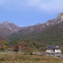 만호성 | 강진, 언제나 푸른 다산과 영랑과 청자