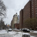 호스텔 오렌지트리 | New York 🗽