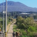 현기목장 이미지