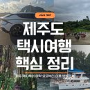 푸른섬제주여행사 | 제주도 택시투어 예약 요금부터 제주 택시여행 핵심 정리