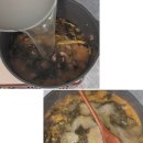 들깨시래기된장국 | 소고기 시락국 레시피 | 쌀뜨물 소고기 시래기국 끓이는 법 | 들깨 시래기 된장국 만들기