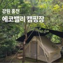[강원캠핑장 추천] 자연이 아름다운 홍천 에코밸리캠핑장!