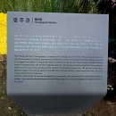 농업기술센터 부속동 | 원주 강원 감영(사적 제439호) 국화축제-원주시 원일로 85 (원주감영 일원)