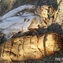 남구미로-4 이미지